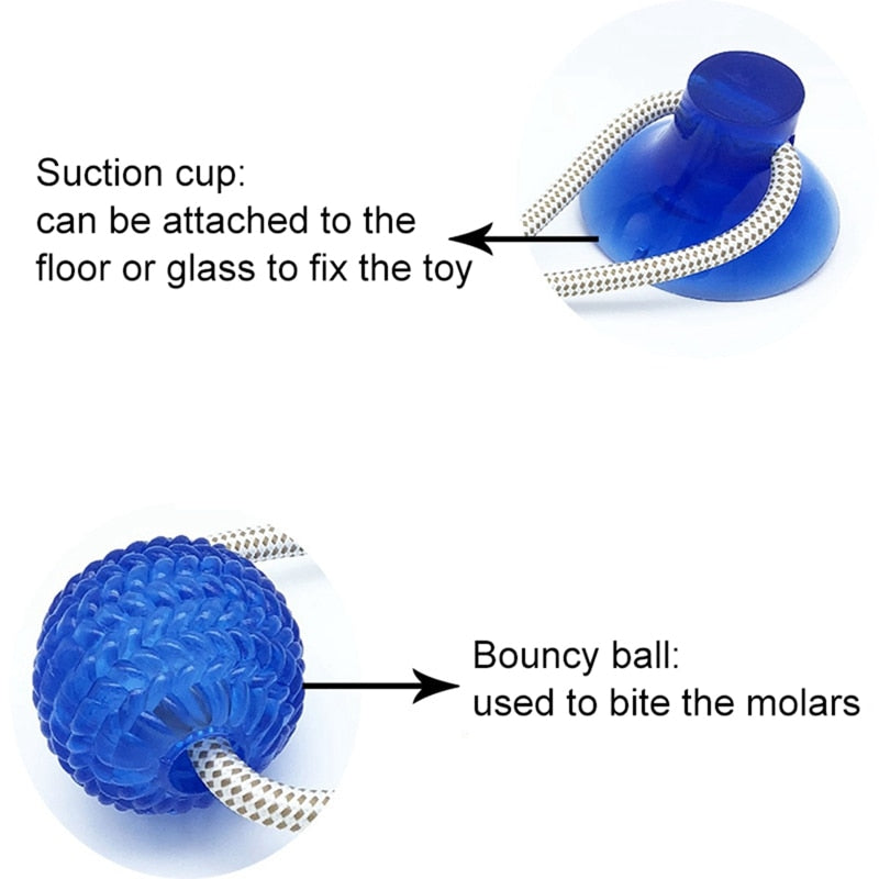 Interactive fun Pet toy with suction cup dog push toy with TPR ball Pet Tooth Cleaning,Chewing,Playing, IQ Treat Ball Puppy Toys