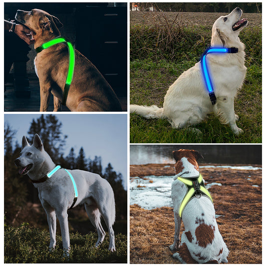 LED Light-Up Dog Harness