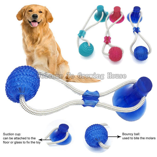Suction Cup Chew & Treat Ball for Dogs
