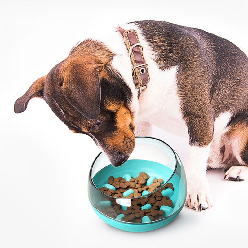 Pet Dog Bowls Puppy Slow Down Eating Feeding Bowl Dish Bowel Prevent Choking Obesity Dogs Supplies