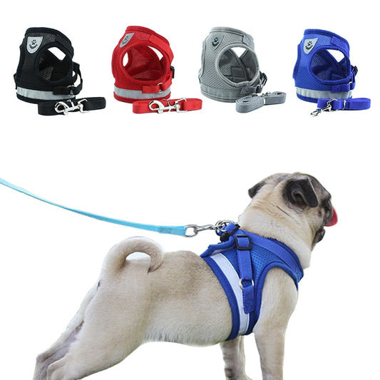 Snug Fit Harness & Leash Set — Comfortable Daily Walks
