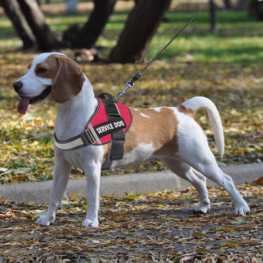 Reflective Stretch Chest Strap Harness