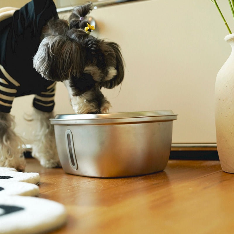 3L Stainless Steel Filtered Pet Water Dispenser