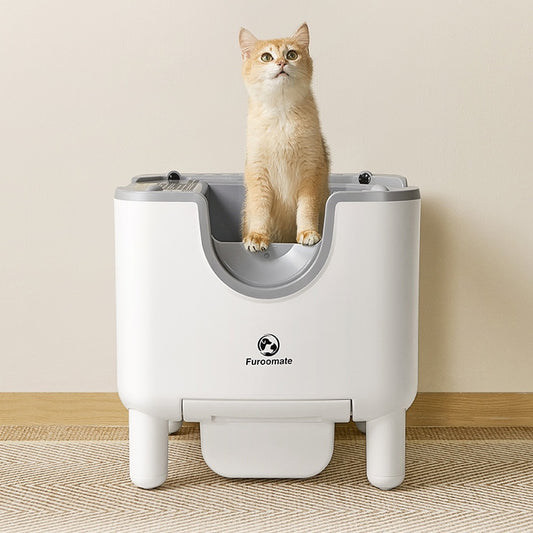 Extra-Large Open-Style Smart Litter Box