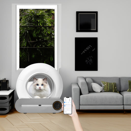 WiFi Smart Self-Cleaning Litter Box
