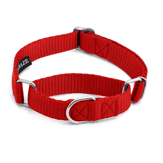 Martingale Dog Collar - Heavyduty Nylon Dog Collar with No Buckle Dog Training Collars for Medium Dogs (Red XL)